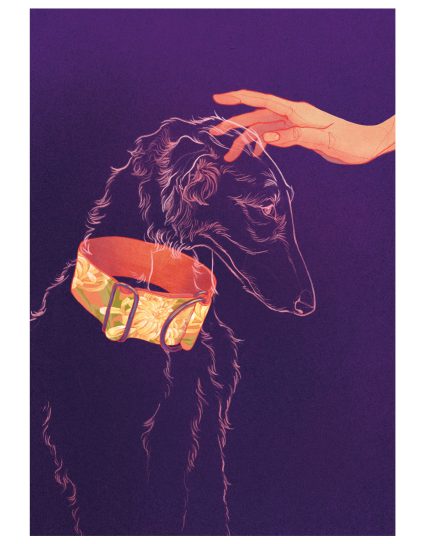 Galgo - Lámina de Adara Sánchez