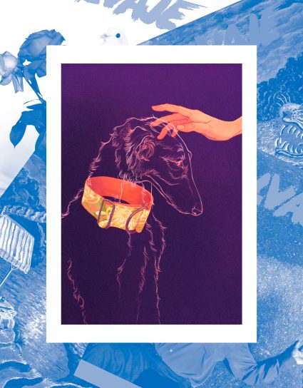 Suscripción anual + Lámina "Galgo"